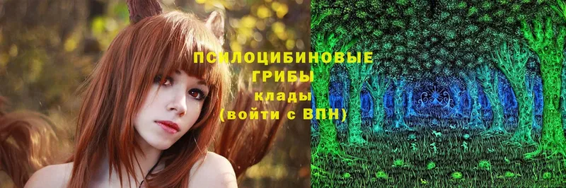 МЕГА ссылка  Ликино-Дулёво  shop официальный сайт  Псилоцибиновые грибы Psilocybe 